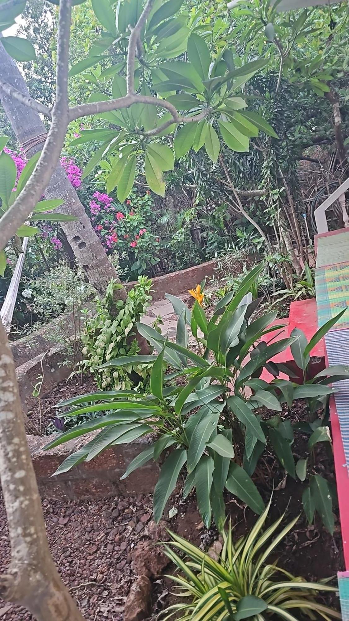 Laxmi Happy Home In Querim Goa Exterior photo