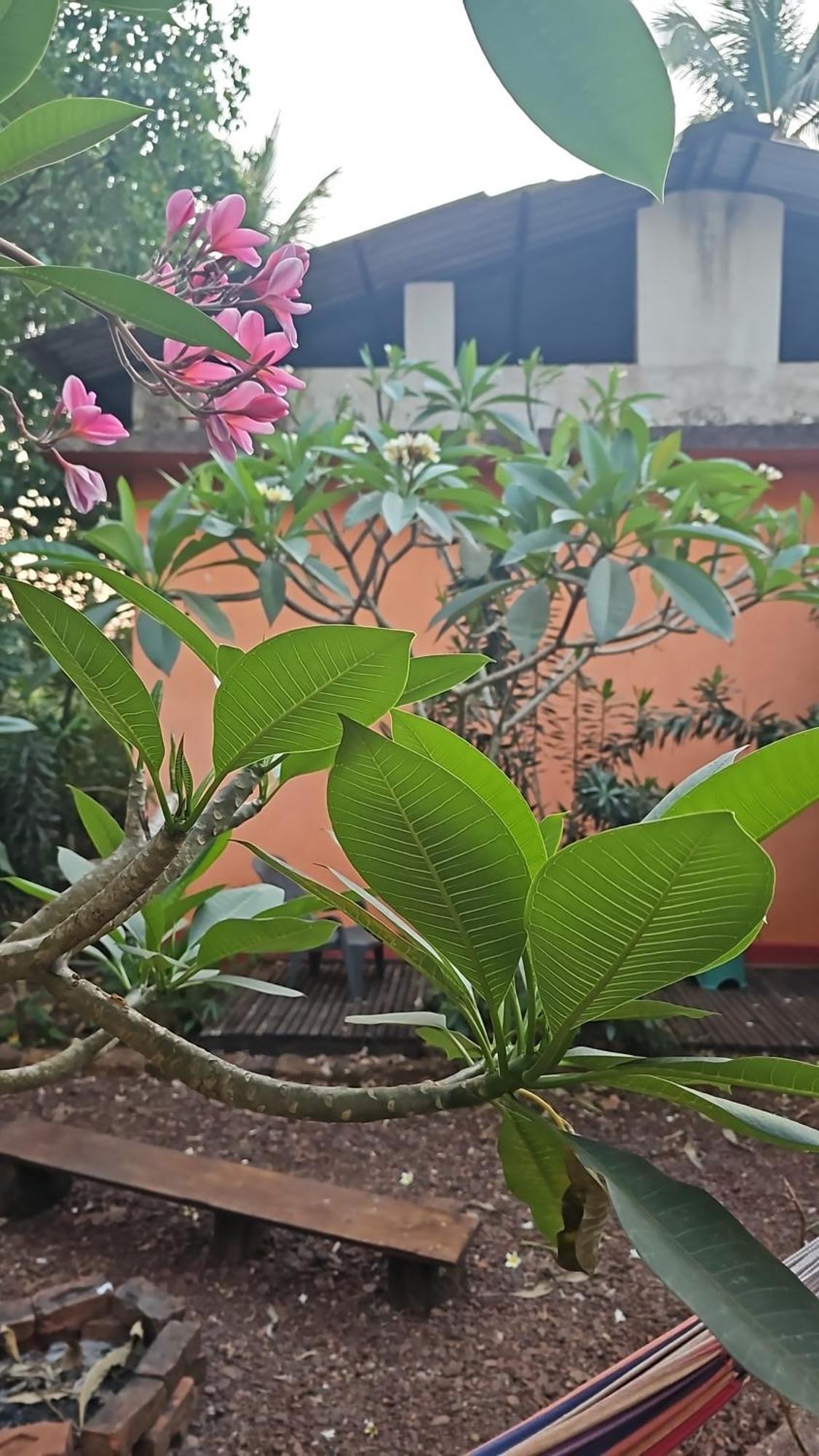 Laxmi Happy Home In Querim Goa Exterior photo